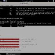 Microsoft Windows Shell LNK Code Execution
