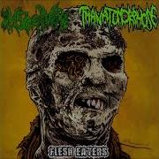 Insectivore Thanatomorphose Flesh Eaters 2014 Full Split