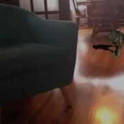 First EFexio Dinosaur