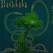Slackbaba Solar Seed
