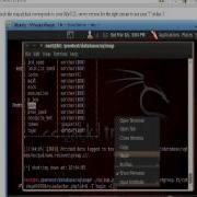 Backtrack Sql Injection Sqlmap