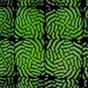 Video Feedback 2