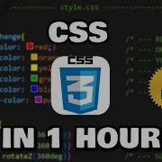 Learn CSS In 1 Hour