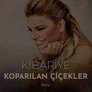 Koparılan Çiçekler Remix