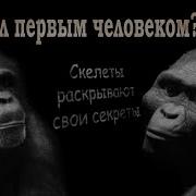 Эволюция человека кто был предком Homo Sapiens История человечества Познавательное видео