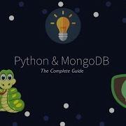 Python And MongoDB The Complete Guide Learn To Use MongoDB In Your Python Application