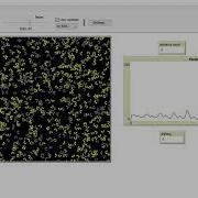 Firefly Synchronization Strategy Delay