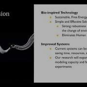 Slime Mold Network Optimization 2020 Senior Design