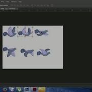 How To Learn Adobe Flash Professional CS6
