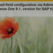 User Defined Field Configuration Via Admin Console
