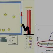 Demo Of How To Use And Interpret PHET Sim Reactions And Rates PART 2