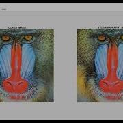 RSA ALGORITHM AND HASH LSB TECHNIQUE FOR IMAGE STEGANOGRAPHY