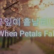 꽃잎이 흩날리면 When Petals Fall