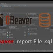 DBeaver Import SQL File