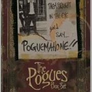 The Pogues Billy S Bones BBC Janice Long Show