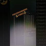 Python Programming Vibes