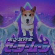 Dog Meme Avi