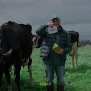 MARO Concerto No Pasto