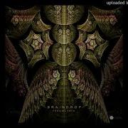 Braindrop Fractal Tech Original Mix
