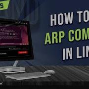 How To Use Arp Command In Linux 7 Practical Examples LinuxSimply