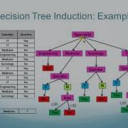 Entropy Decision Tree Part 1