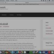 Shrinking Fixed Header On Scroll In Genesis