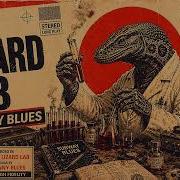 THE LIZARD LAB PSYCHEDELIC BLUES INSTRUMENTAL