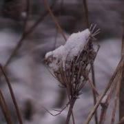 Panasonic SD10 First Test Original M2ts AVCHD Footage