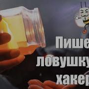 Что такое Honeypot Пишем Honeypot на Python с помощью Flask