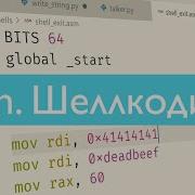 Pwn 9 Writing Shellcodes
