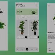 Plant App UI Design In Flutter Flutter UI Design Speed Code
