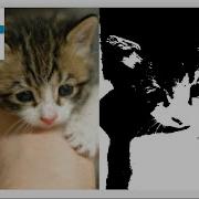 JavaFX Software Image Editor
