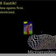 Installing Ilastik And Linking It To FIJI