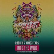 INTO THE WILD Official Intents Festival 2024 Anthem
