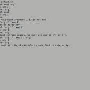 Bash Script Command Line Arguments