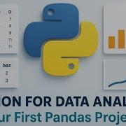 Python For Data Analysis Your First Pandas Project Beginner S Guide
