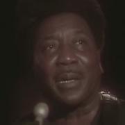 Muddy Waters Hoochie Coochie Man Live