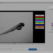 Preclinical Implementation Of MatRadiomics