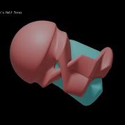 Sphere Eversion Hacon S Half Torus