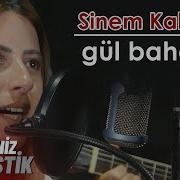 Sinem Kahveci Gül Bahçesi KaradenizAkustik