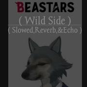 Beastars Wild Side Slowed Reverb Echo