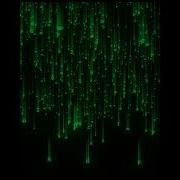Matrix Effect