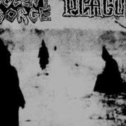 VIOLENT GORGE From Split LP W PLAGUE 2014
