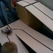 CloseCallTraffic Mp4