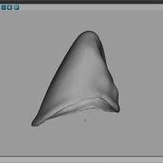 DGSHAPE Tips Tricks English