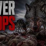 The Animal That Kills Even When It S Full Nature S Darkest Instinct