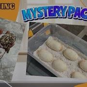 CRAZY SURPRISE GENETICS While Cutting Ball Python Eggs Rainbow Ball Python Showcase