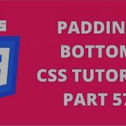 Padding Bottom Property CSS CSS Tutorial Part 57