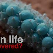 Life On Mars Confirmed NASA Reveals Shocking Evidence