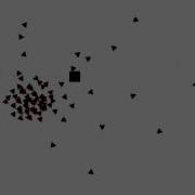 Neil Armitage Flocking Demo